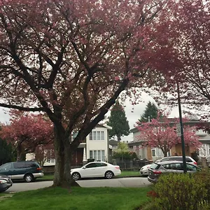 Lee Vancouver